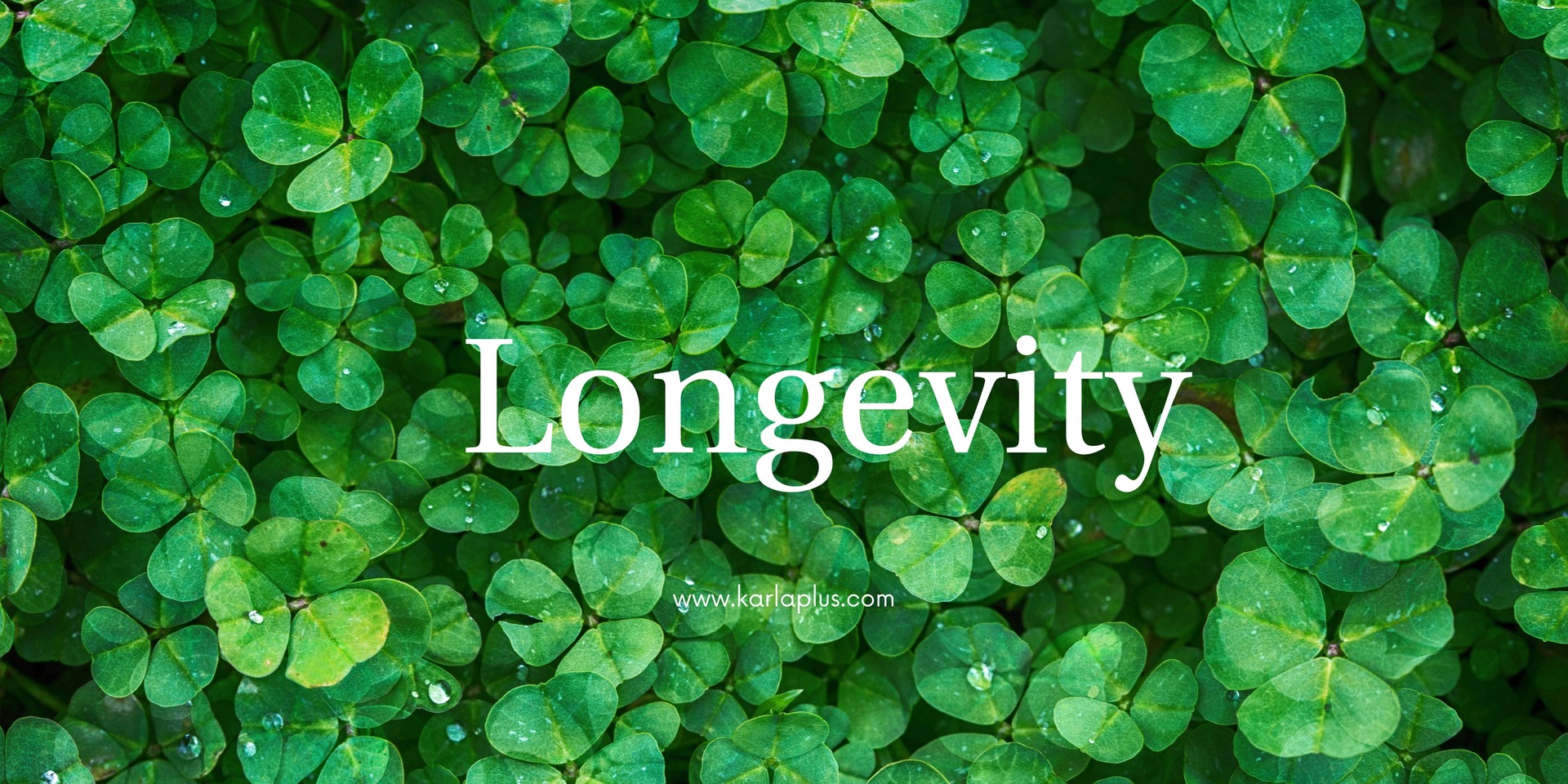 longevity-nedir